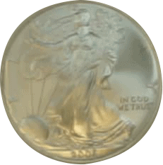 coins-5 Estate House